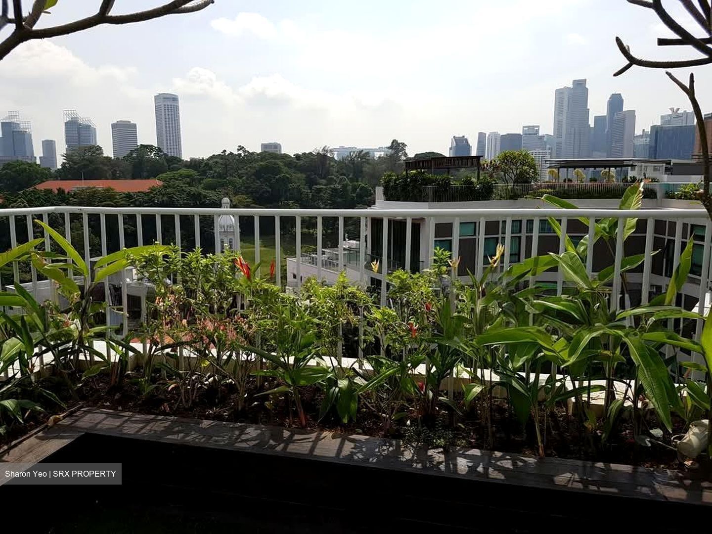 Belle Vue Residences (D9), Condominium #556493891